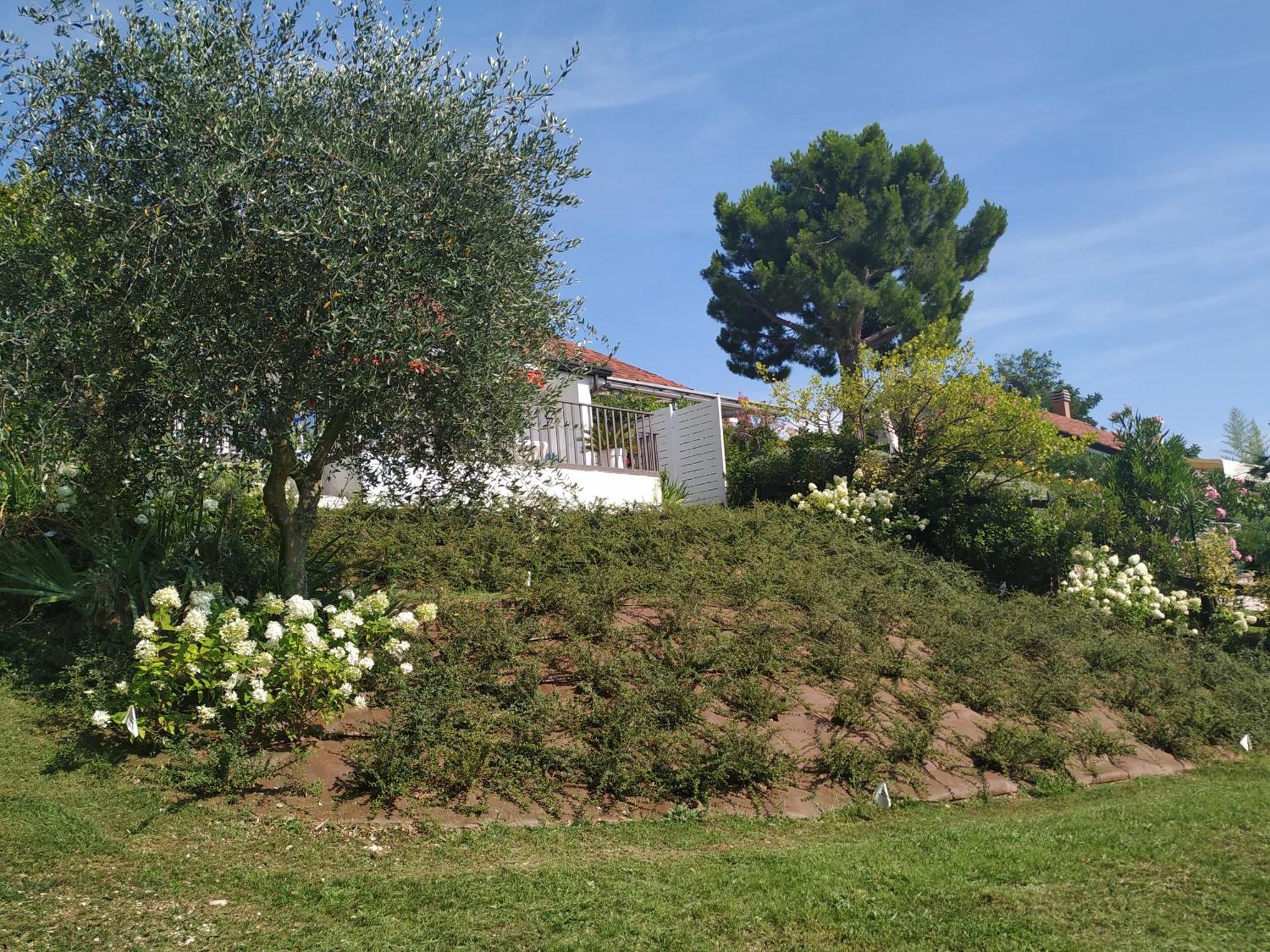 Casa Fellini